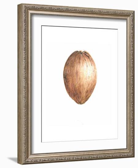 Coconut, 2015-Lincoln Seligman-Framed Giclee Print