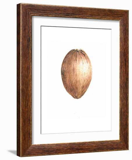 Coconut, 2015-Lincoln Seligman-Framed Giclee Print