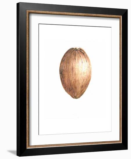 Coconut, 2015-Lincoln Seligman-Framed Giclee Print