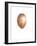 Coconut, 2015-Lincoln Seligman-Framed Giclee Print