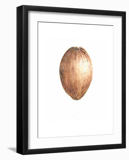 Coconut, 2015-Lincoln Seligman-Framed Giclee Print