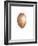 Coconut, 2015-Lincoln Seligman-Framed Giclee Print