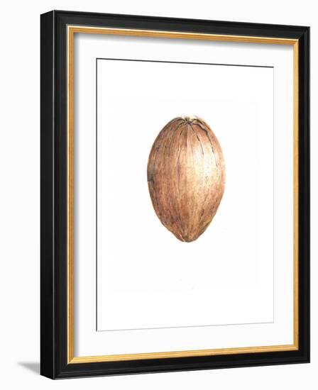 Coconut, 2015-Lincoln Seligman-Framed Giclee Print