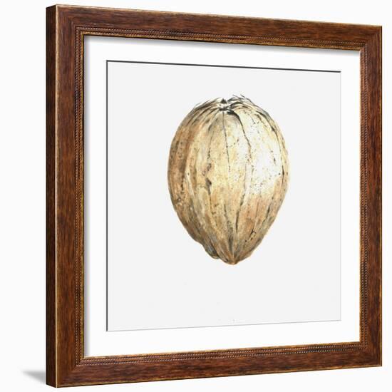 Coconut, 2015-Lincoln Seligman-Framed Giclee Print