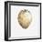 Coconut, 2015-Lincoln Seligman-Framed Giclee Print