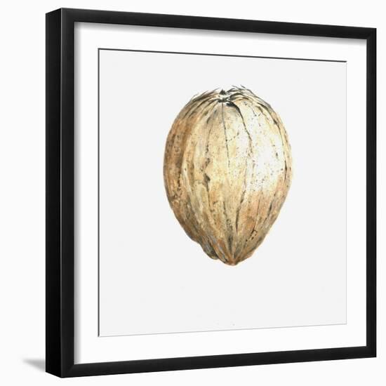 Coconut, 2015-Lincoln Seligman-Framed Giclee Print