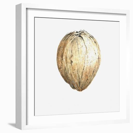 Coconut, 2015-Lincoln Seligman-Framed Giclee Print