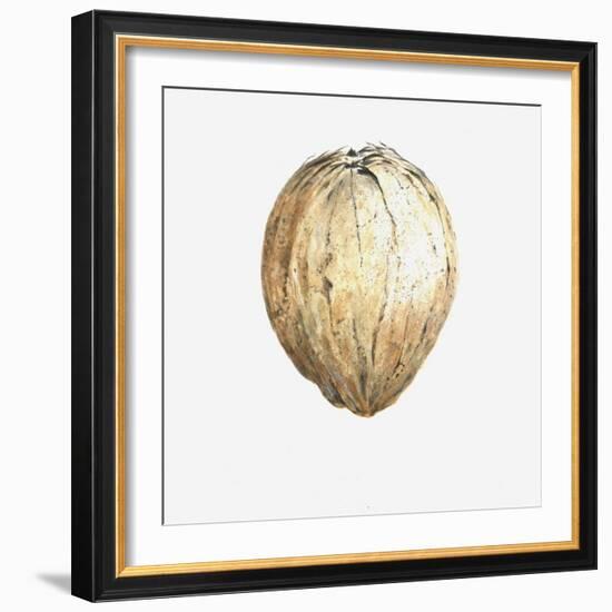 Coconut, 2015-Lincoln Seligman-Framed Giclee Print