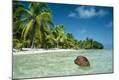 Photographic Print