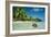 Coconut Floating Ashore on to Tropical Island-null-Framed Photographic Print