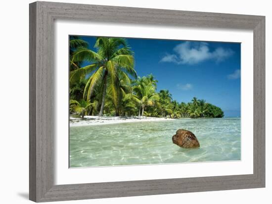 Coconut Floating Ashore on to Tropical Island-null-Framed Photographic Print