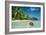 Coconut Floating Ashore on to Tropical Island-null-Framed Photographic Print