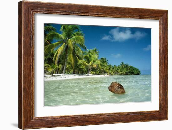 Coconut Floating Ashore on to Tropical Island-null-Framed Photographic Print