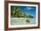 Coconut Floating Ashore on to Tropical Island-null-Framed Photographic Print