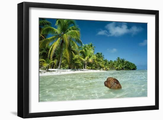 Coconut Floating Ashore on to Tropical Island-null-Framed Photographic Print