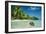 Coconut Floating Ashore on to Tropical Island-null-Framed Photographic Print