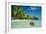 Coconut Floating Ashore on to Tropical Island-null-Framed Photographic Print