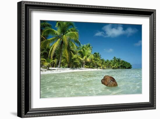 Coconut Floating Ashore on to Tropical Island-null-Framed Photographic Print