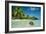 Coconut Floating Ashore on to Tropical Island-null-Framed Photographic Print