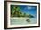 Coconut Floating Ashore on to Tropical Island-null-Framed Photographic Print