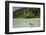 Coconut Floating in Lagoon, Micronesia, Palau-Reinhard Dirscherl-Framed Photographic Print