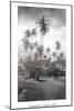 Coconut Grove, Lahaina, 1910-Ray Jerome Baker-Mounted Art Print