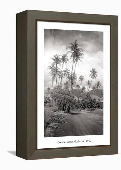 Coconut Grove, Lahaina, 1910-Ray Jerome Baker-Framed Stretched Canvas