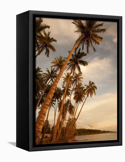 Coconut Grove, Molokai, Hawaii-Douglas Peebles-Framed Premier Image Canvas