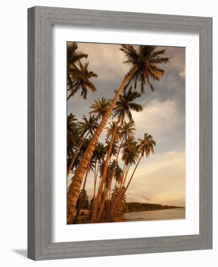 Coconut Grove, Molokai, Hawaii-Douglas Peebles-Framed Photographic Print