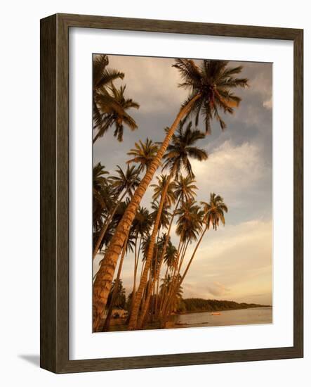 Coconut Grove, Molokai, Hawaii-Douglas Peebles-Framed Photographic Print