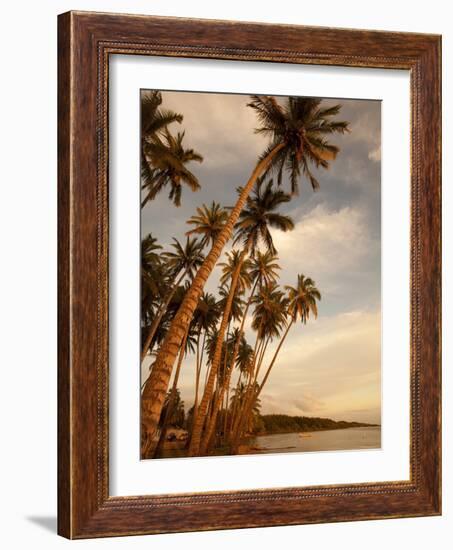 Coconut Grove, Molokai, Hawaii-Douglas Peebles-Framed Photographic Print