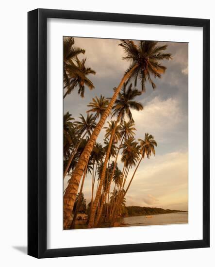 Coconut Grove, Molokai, Hawaii-Douglas Peebles-Framed Photographic Print