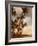 Coconut Grove, Molokai, Hawaii-Douglas Peebles-Framed Photographic Print