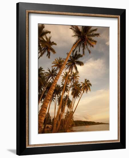 Coconut Grove, Molokai, Hawaii-Douglas Peebles-Framed Photographic Print