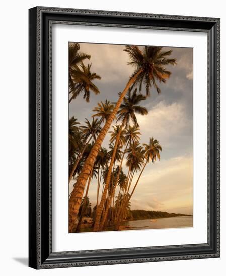 Coconut Grove, Molokai, Hawaii-Douglas Peebles-Framed Photographic Print