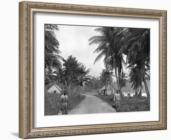 Coconut Grove, Port Antonio, Jamaica, C1905-Adolphe & Son Duperly-Framed Giclee Print