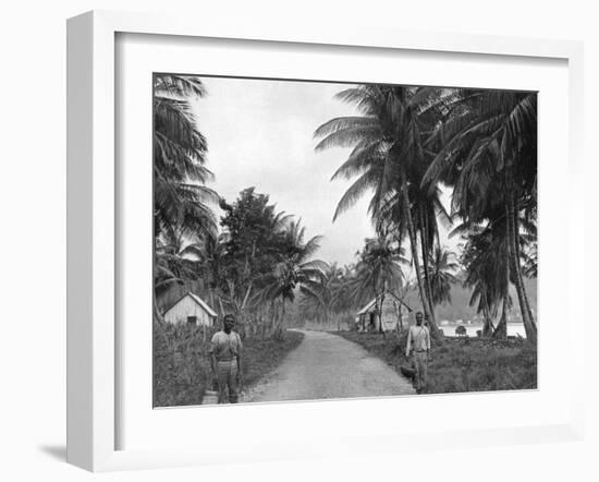 Coconut Grove, Port Antonio, Jamaica, C1905-Adolphe & Son Duperly-Framed Giclee Print