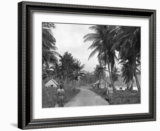 Coconut Grove, Port Antonio, Jamaica, C1905-Adolphe & Son Duperly-Framed Giclee Print
