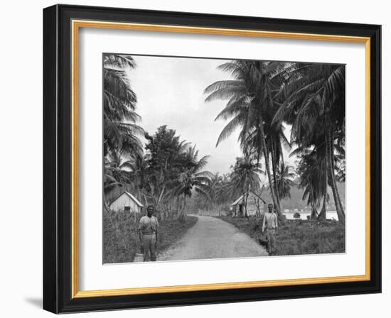 Coconut Grove, Port Antonio, Jamaica, C1905-Adolphe & Son Duperly-Framed Giclee Print