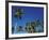 Coconut Grove-Chris Simpson-Framed Giclee Print