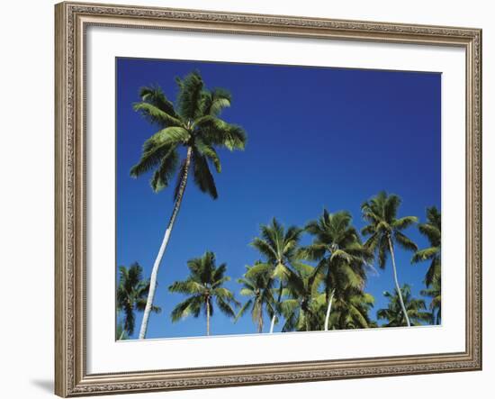 Coconut Grove-Chris Simpson-Framed Giclee Print