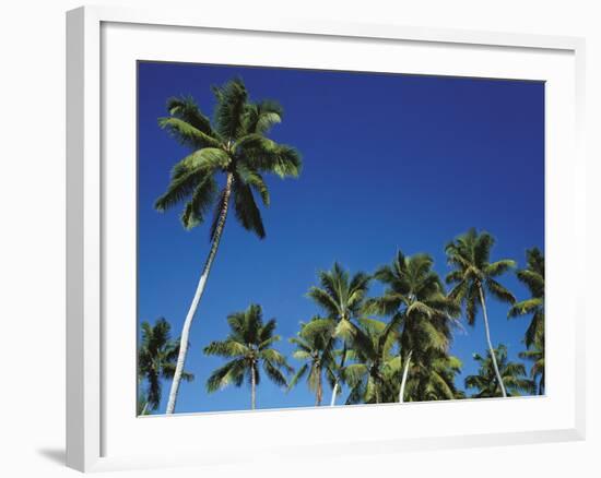 Coconut Grove-Chris Simpson-Framed Giclee Print