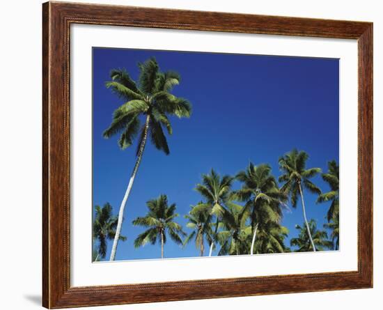 Coconut Grove-Chris Simpson-Framed Giclee Print