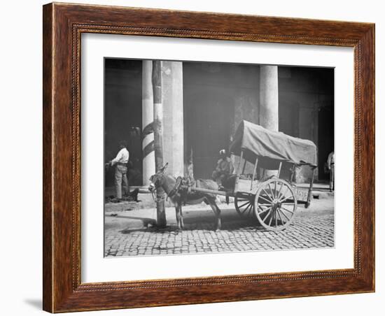 Coconut Merchants Wagon, Havana, Cuba-null-Framed Photo