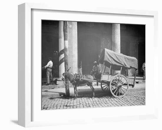 Coconut Merchants Wagon, Havana, Cuba-null-Framed Photo