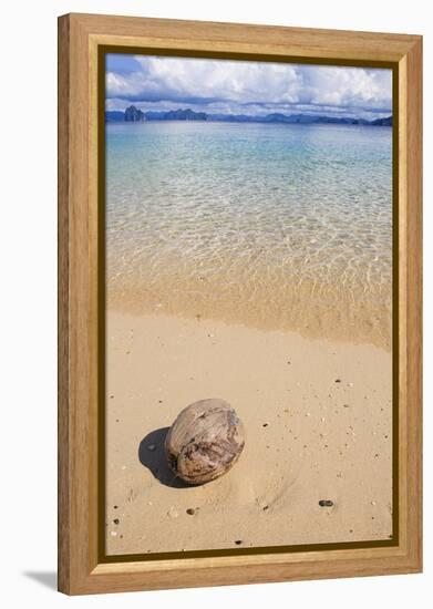 Coconut on a Sandy Beach in the Bacuit Archipelago, Palawan, Philippines-Michael Runkel-Framed Premier Image Canvas