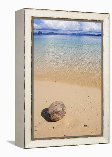 Coconut on a Sandy Beach in the Bacuit Archipelago, Palawan, Philippines-Michael Runkel-Framed Premier Image Canvas