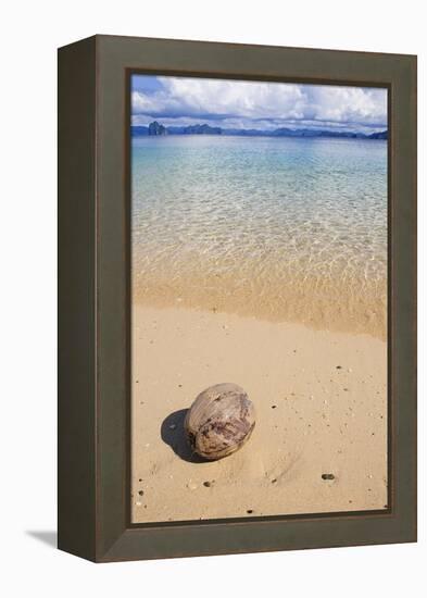 Coconut on a Sandy Beach in the Bacuit Archipelago, Palawan, Philippines-Michael Runkel-Framed Premier Image Canvas