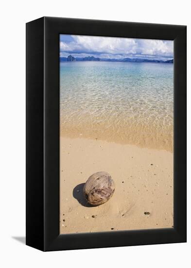 Coconut on a Sandy Beach in the Bacuit Archipelago, Palawan, Philippines-Michael Runkel-Framed Premier Image Canvas