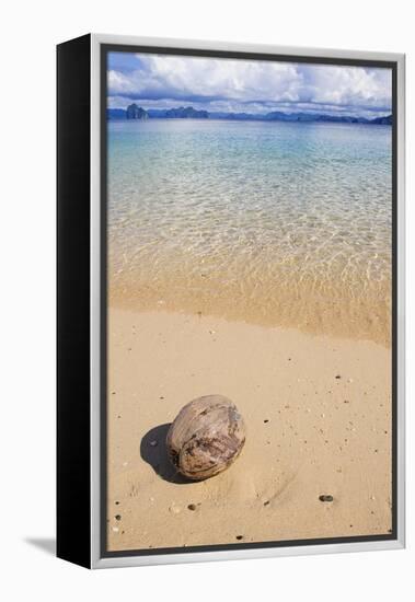 Coconut on a Sandy Beach in the Bacuit Archipelago, Palawan, Philippines-Michael Runkel-Framed Premier Image Canvas